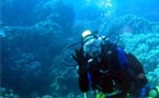 Des cours de plongée pour les plus de 55 ans