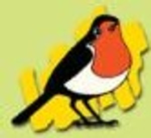 Une équipe de la LRBPO rejoint l’Alsace pour le démazoutage de 150 Cygnes